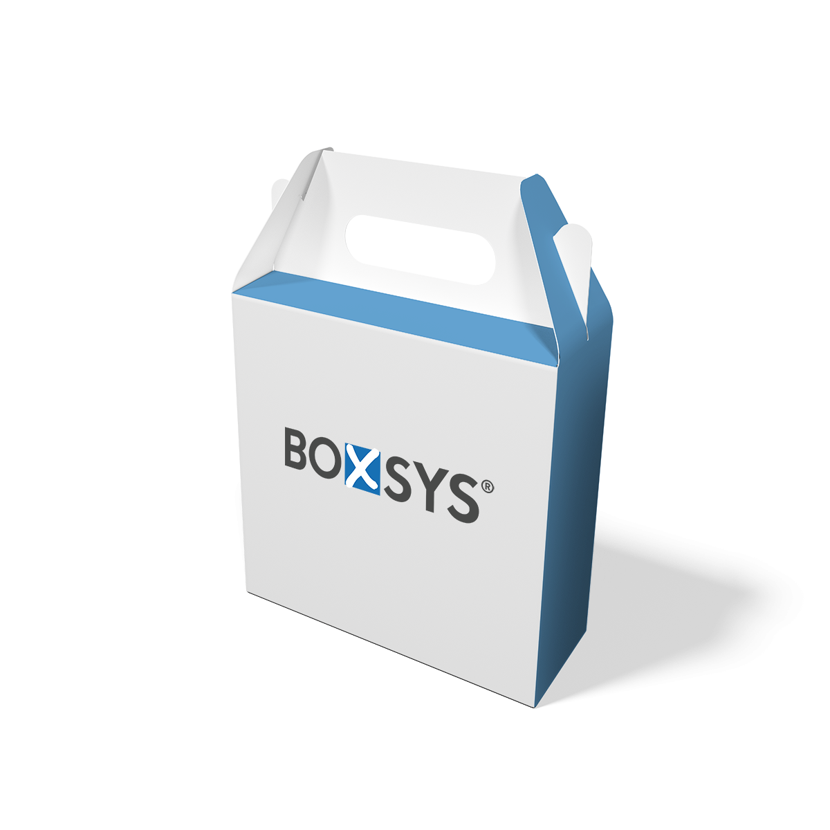 Faltschachtel mit Tragegriff von www.boxsys.de